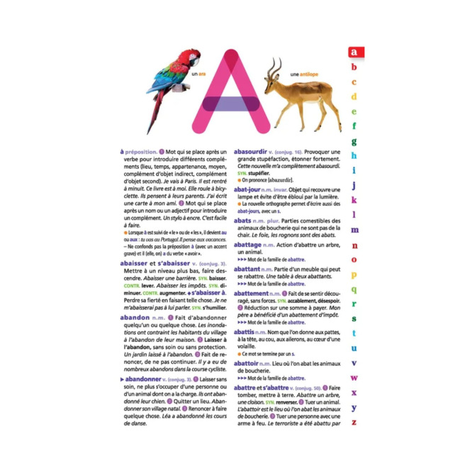 LAROUSSE JUNIOR 2 in 1 woordenboek voor 7-11 jarigen