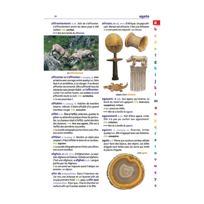 LAROUSSE JUNIOR 2 in 1 woordenboek voor 7-11 jarigen