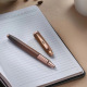 Sheaffer 100