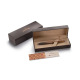 Sheaffer 100