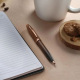 Sheaffer 100