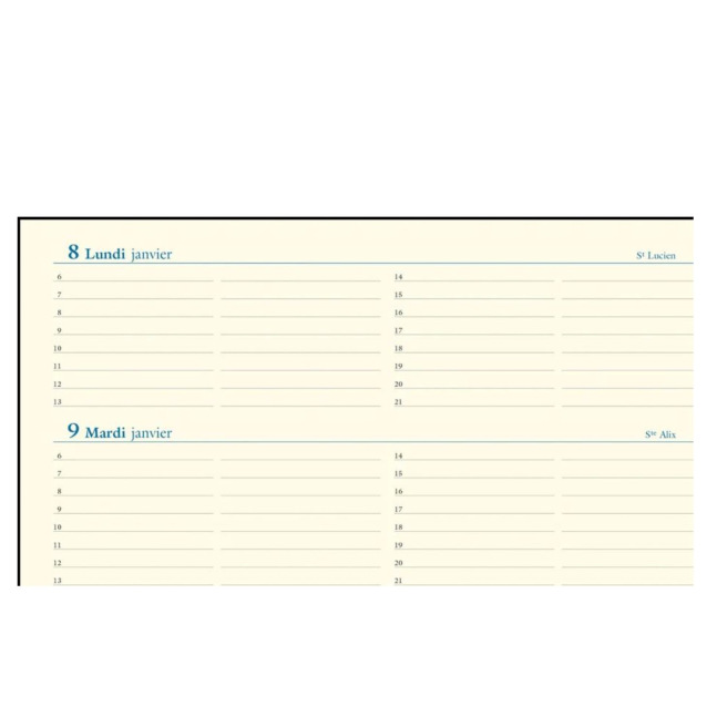 Agenda Exacompta ESPACE 27 - 21 x 27 cm - 1 semaine sur 2 page avec notes Agenda Exacompta ESPACE 27 - 21 x 27 cm - 1 semaine sur 2 page avec notes