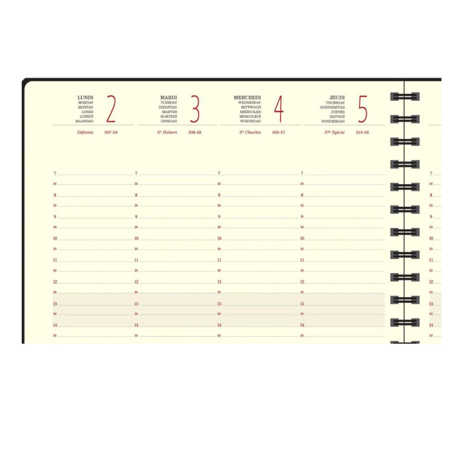 Agenda Exacompta EUROTIME 22S - 18 x 22,5 cm - 1 semaine sur 2 pages Agenda Exacompta EUROTIME 22S - 18 x 22,5 cm - 1 semaine sur 2 pages