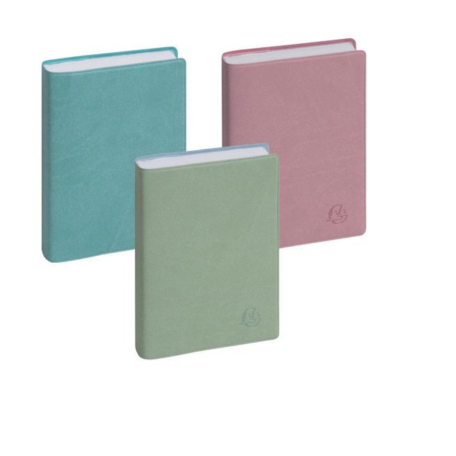 Agenda Exacompta DAGELIJKS - 8,5 x 13 cm - 1 dag per pagina - Winnaar