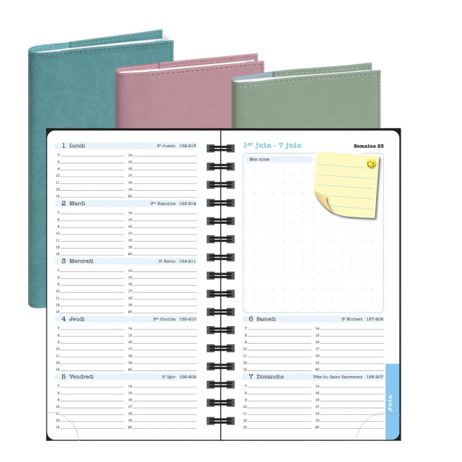 Agenda Exacompta LADY 16S - 9 x 16 cm - 1 semaine sur 2 pages avec notes Agenda Exacompta LADY 16S - 9 x 16 cm - 1 semaine sur 2 pages avec notes