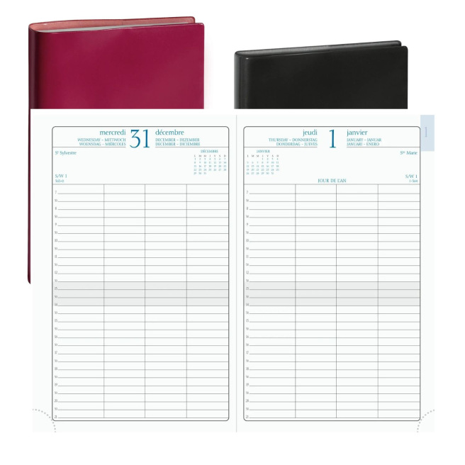 Agenda Exacompta JOURNEE PLANIFIEE 21 - 13,5 x 21 cm - 1 jour par page Agenda Exacompta JOURNEE PLANIFIEE 21 - 13,5 x 21 cm - 1 jour par page
