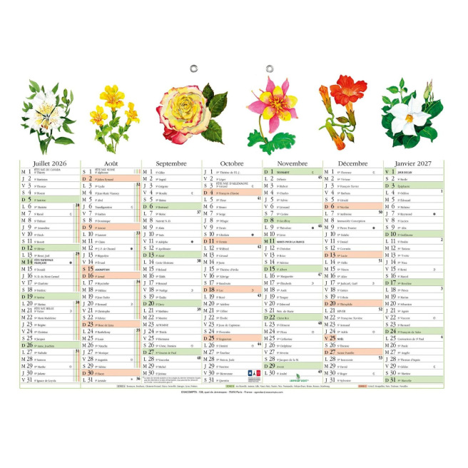 Calendrier planning Exacompta FLEURS - 29,5 x 22 cm - 6 mois par face