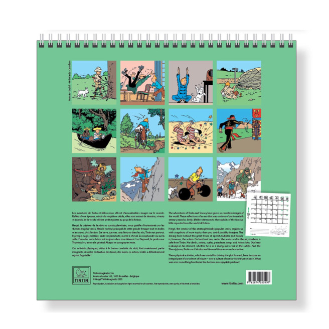 Calendrier mural mensuel TINTIN - 30 x 30 cm