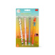 Set de 4 rollers effaçables LEGAMI
