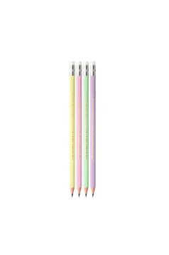Crayon BIC EVOLUTION HB PASTEL + gomme