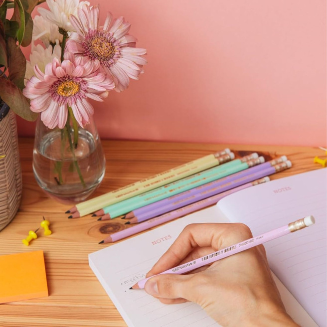 BIC EVOLUTION HB PASTEL potlood + gum