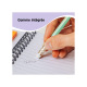 Crayon BIC EVOLUTION HB PASTEL + gomme