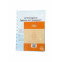 Agenda van de leraar ATOMA